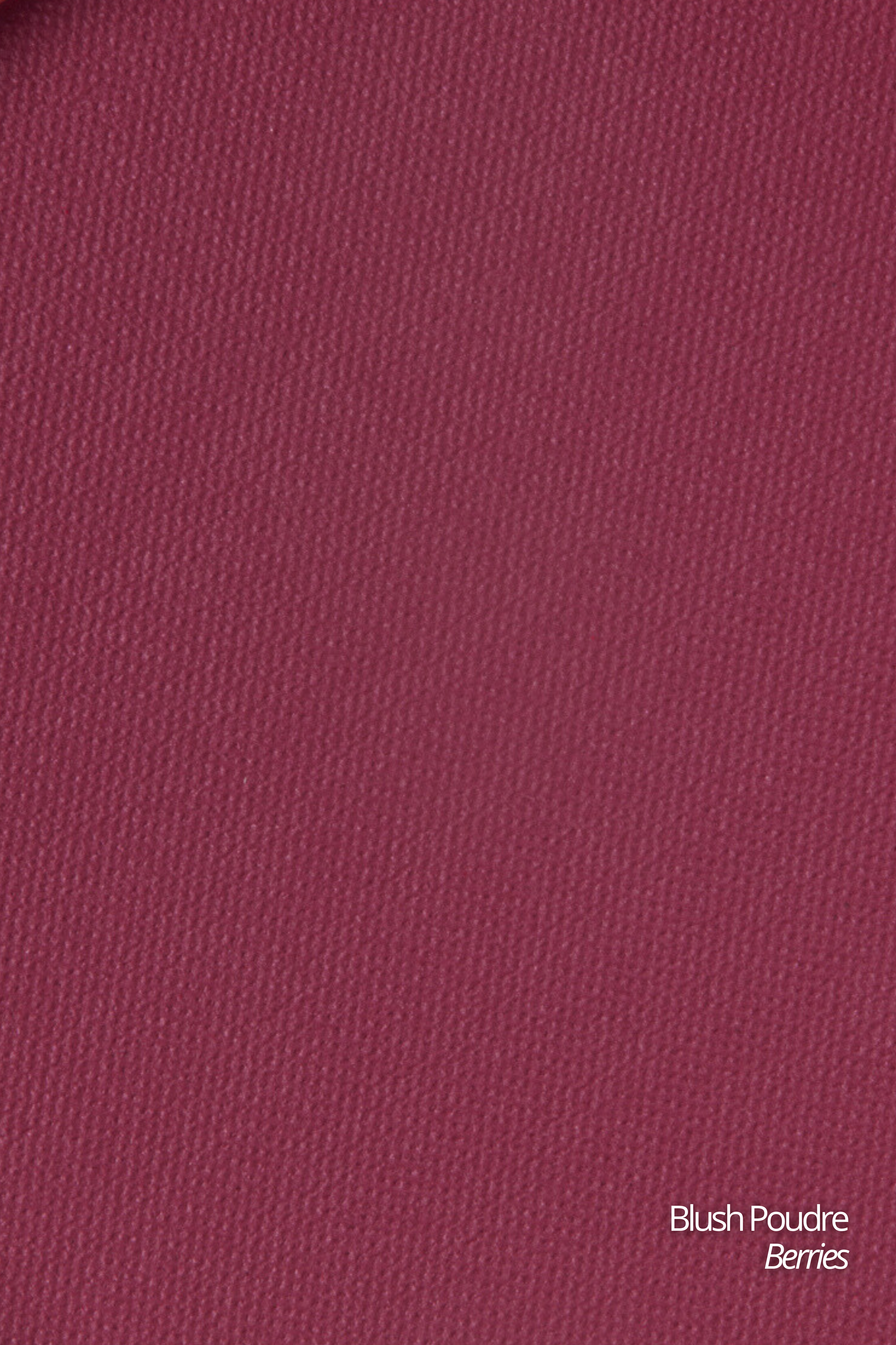 Blush Poudre Velour